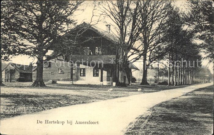 Amersfoort De Hertekop Arnhemscheweg