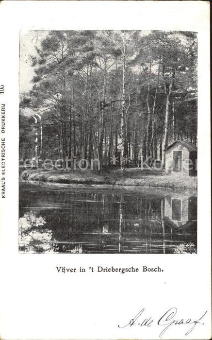 Driebergen Vijver Bosch