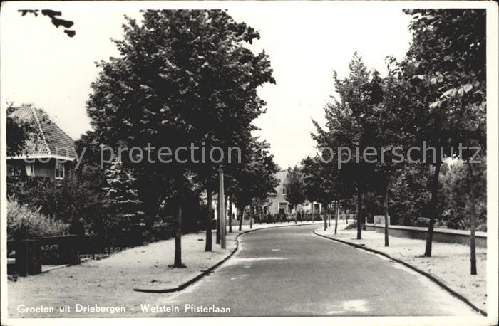 Driebergen Wetstein Pfisterlaan