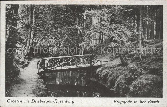Driebergen Rijsenburg Bruggetje Bosch