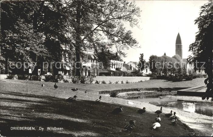 Driebergen De Wildbaan