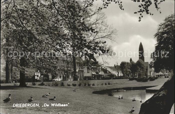 Driebergen De Wildbaan