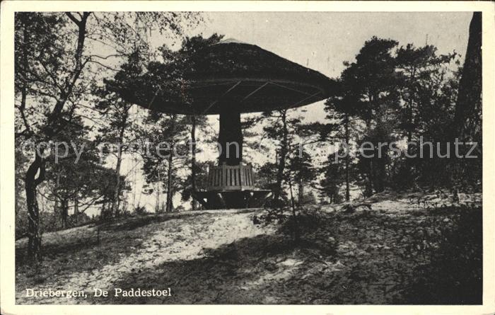 Driebergen De Paddestoel Ons Centrum