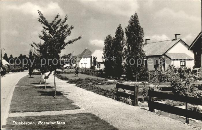 Driebergen Rosariumlaan