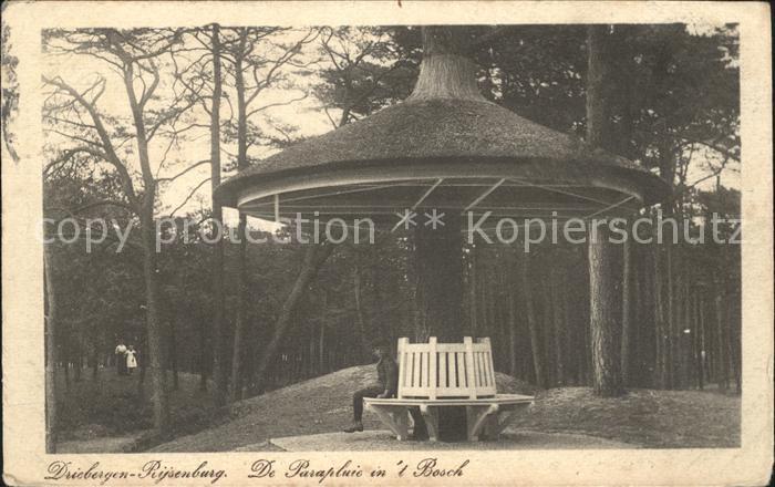 Driebergen Rijsenburg Parapluie Bosch