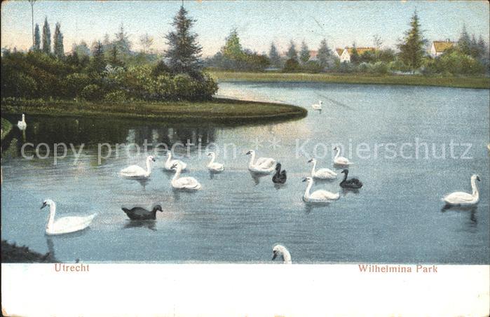 Utrecht Wilhelmina Park Schwanenteich