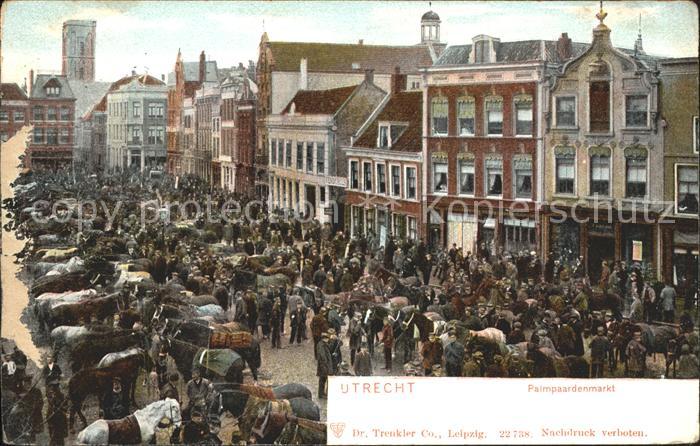 Utrecht Palmpaardenmarkt