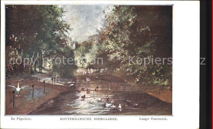 Rotterdam Diergaarde De Pijpvijver Zoo Ententeich