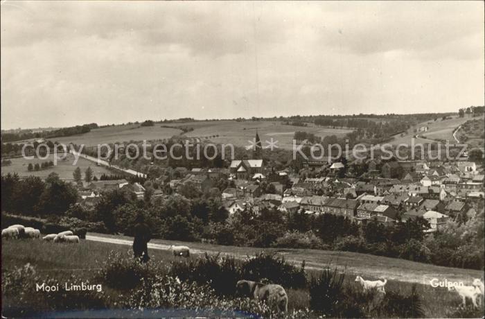 Gulpen Limburg Panorama Schafe