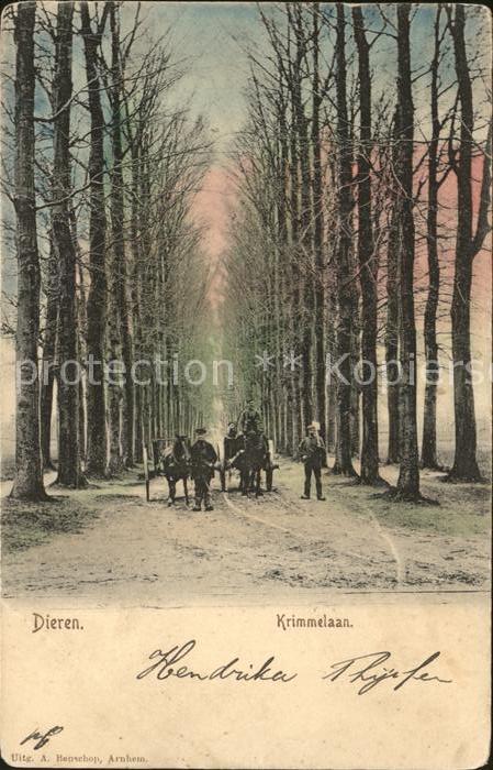 Dieren Krimmelaan