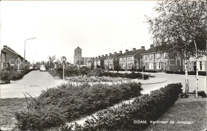 Didam Kardinaal de Jonglaan
