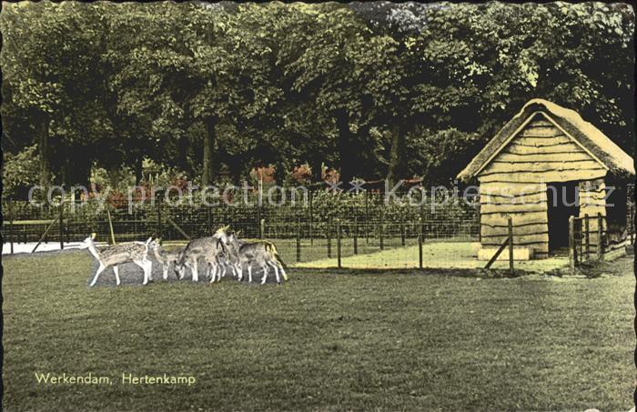Werkendam Hertenkamp Tierpark Rehe