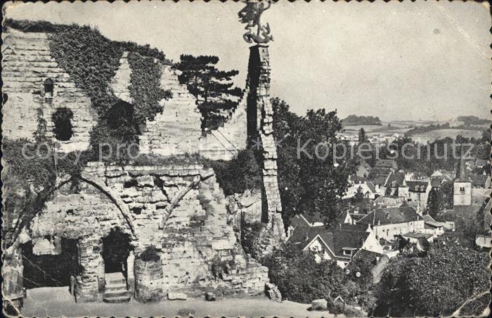 Valkenburg aan de Geul Ruine met Panorama