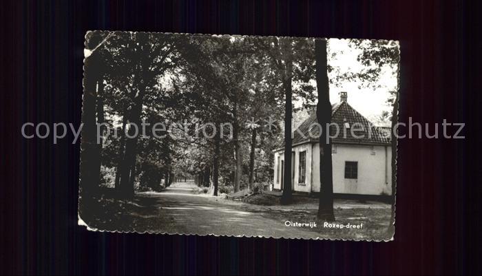 Oisterwijk Rozep dreef