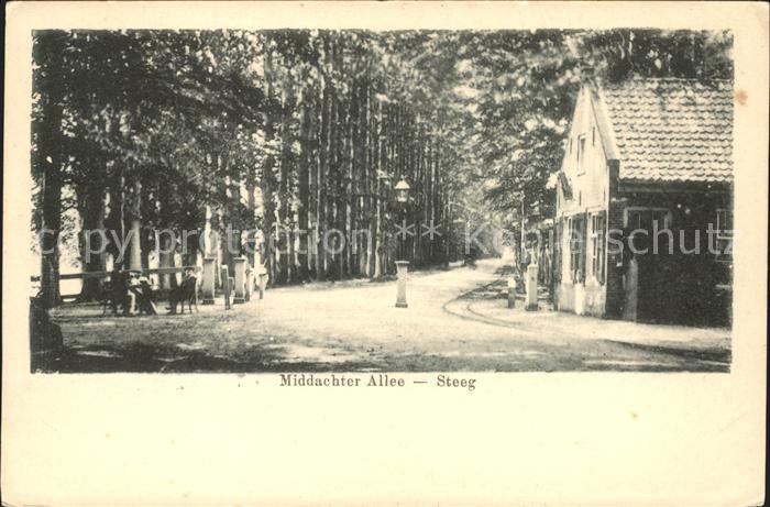 De Steeg Middachter Allee