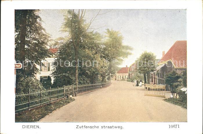Dieren Zutfensche straatweg