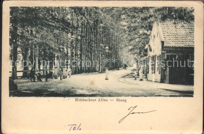 De Steeg Middachter Allee