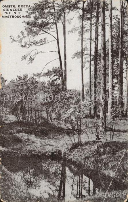 Breda Noord-Brabant Mastbosch