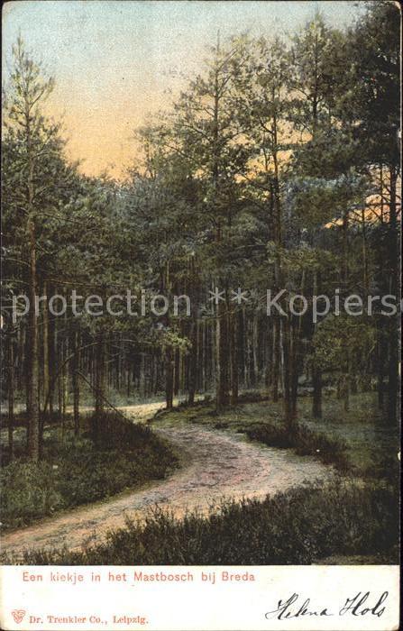 Breda Noord-Brabant Mastbosch