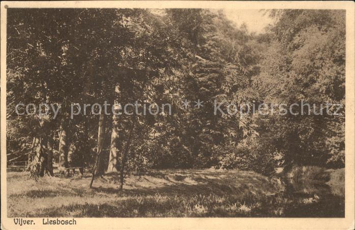 Niederlande Vijver Liesbosch