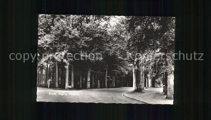 Breda Noord-Brabant Eingang Park