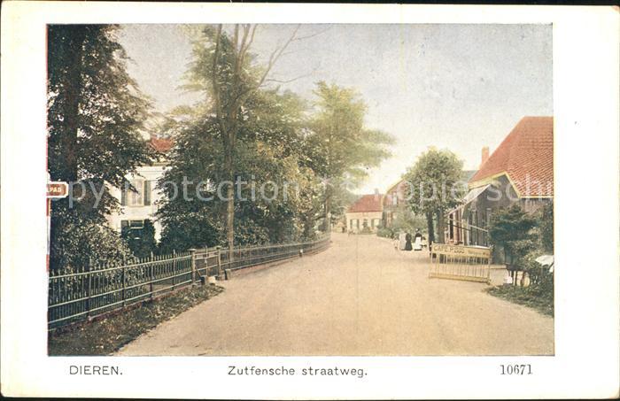 Dieren Zutfensche Straatweg
