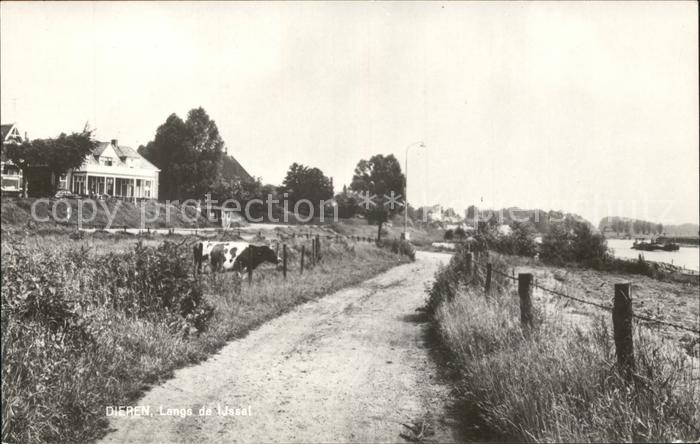 Dieren Weg am Fluss Kuh