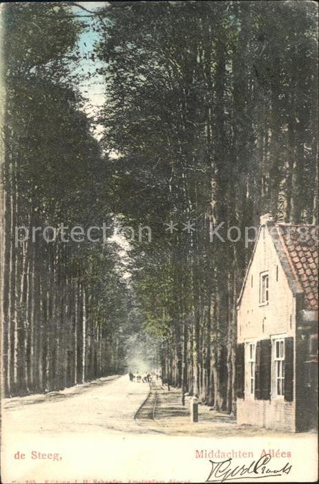 De Steeg Middachten Allees