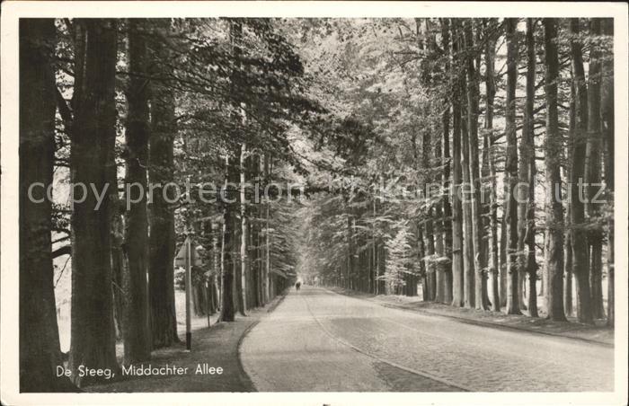 De Steeg Middachter Allee