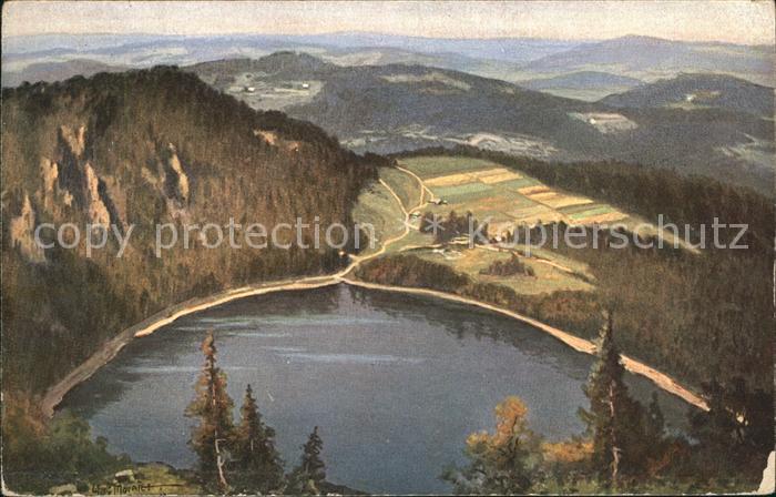 Feldberg Schwarzwald Panorama Feldsee