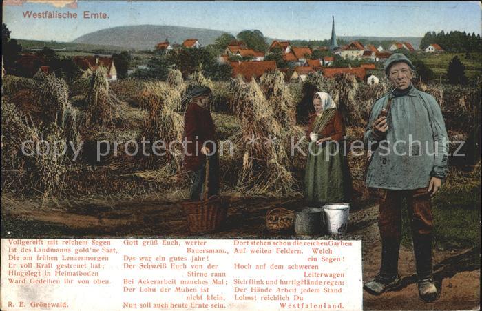 Westfalen Region Westfaelische Ernte Westfalengruss Serie Heimatbilder Ausgabe I