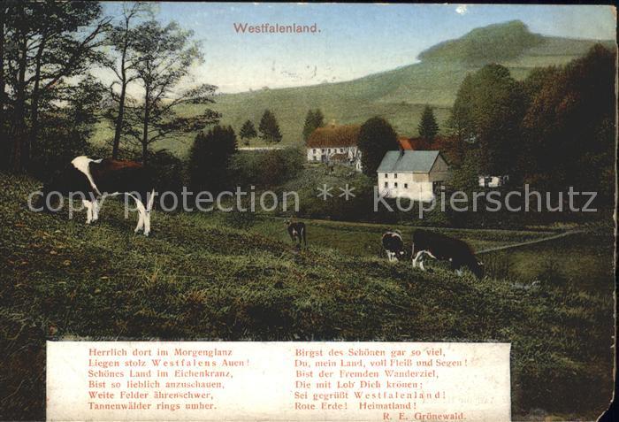 Westfalen Region Land und Leute Viehweide Westfalengruss Serie Heimatbilder Ausg