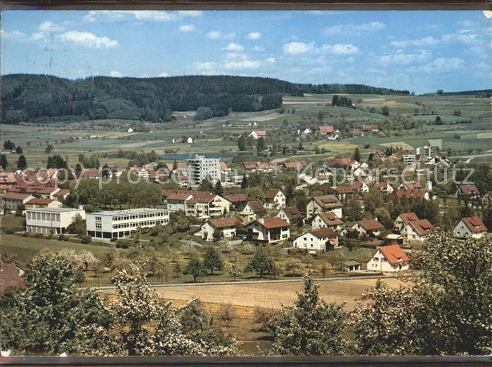 Wilhelmsdorf Wuerttemberg Panorama mit Ringgenburg
