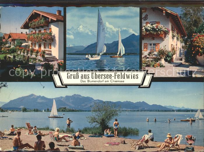 Feldwies Blumenpracht Segelsport Chiemseestrand Alpenpanorama