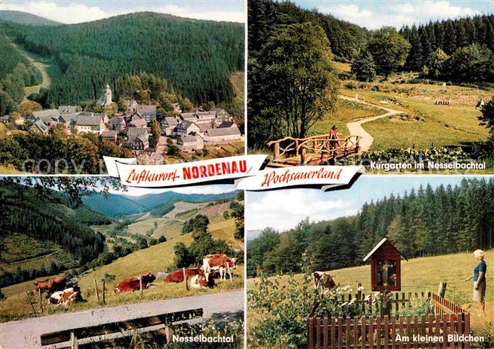 Nordenau Panorama Kurgarten Nesselbachtal Am kleinen Bildchen