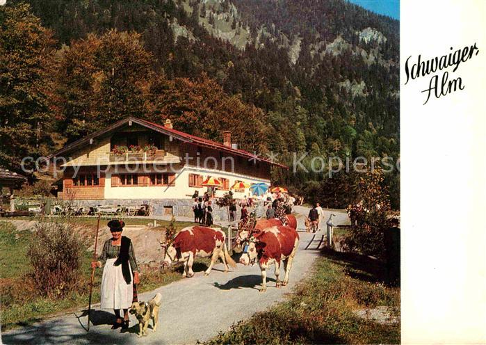Kreuth Tegernsee Schwaiger Alm