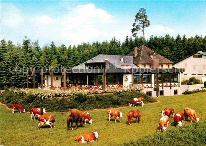 Bad Duerrheim Waldcafe