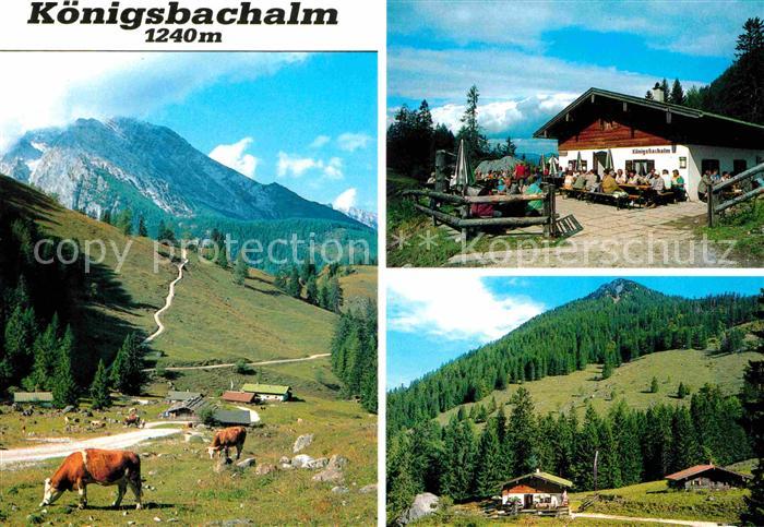 Koenigssee Koenigsbachalm Panorama