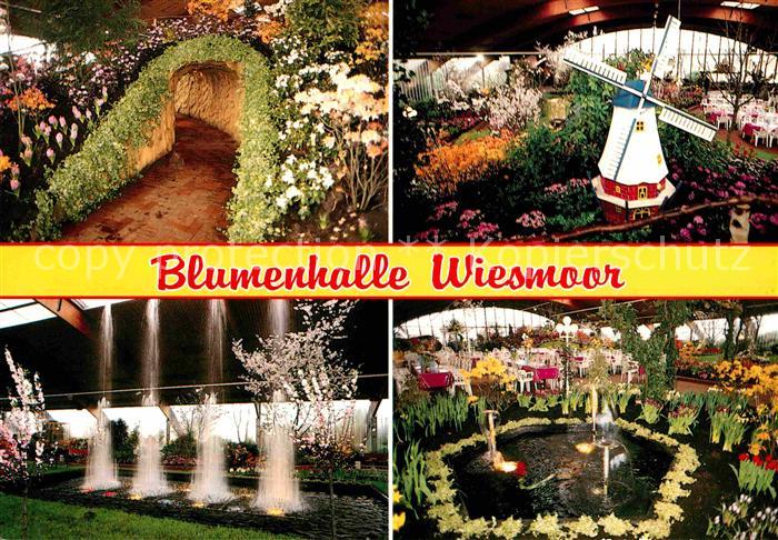 Wiesmoor Blumenhalle Details
