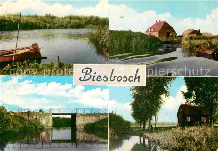 Biesbosch Teilansichten