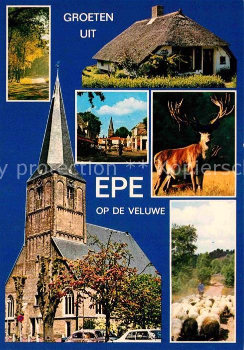 Epe Gelderland Reetgedecktes Haus Kirche Hirsch Schafherde