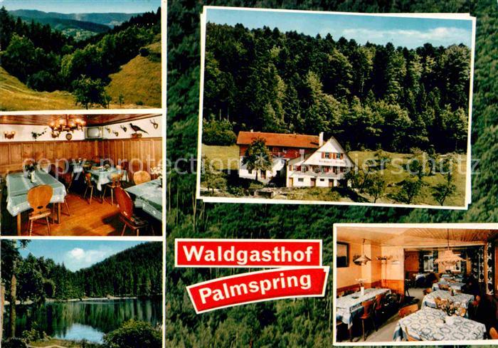 Bad Peterstal-Griesbach Waldgasthof Pension Palmspring Gastraeume See