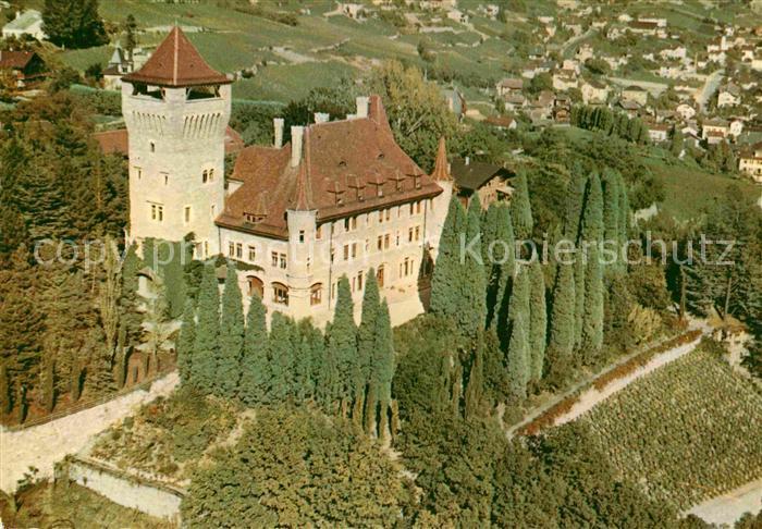 Au dessus des Bois Fliegeraufnahme Chàteau