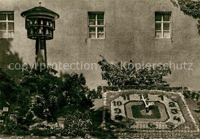 Zittau Blumenuhr Glockenturm