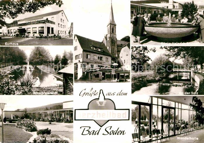 Bad Soden-Salmuenster Schwanenteich Wandelhalle Koenig-Heinrich Brunnen