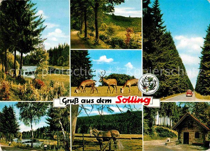 Solling Bodenfelde Teilansichten Landschaftspanorama