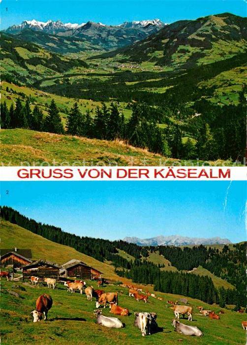 Wildschoenau Tirol Marbachjoch Panorama Kaesealm