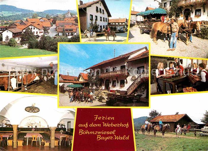 Boehmzwiesel Niederbayern Weberhof Ferien Pferdewagen Gastraum Reiten Kuhstall