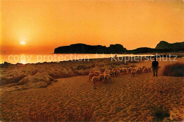 Schafe Hirte Strand Landleben Kreta Griechenland