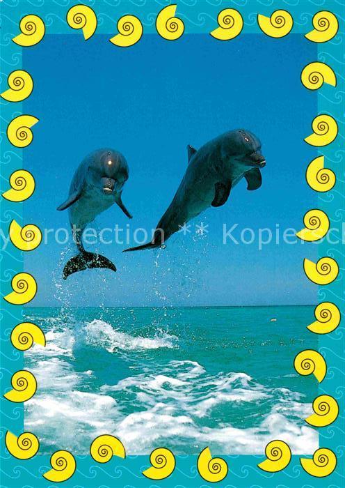 Delfine Delphine Dolphins Dauphins Delfines